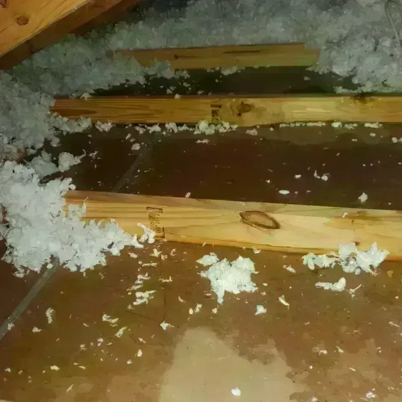 Attic Water Damage in Sisco Heights, WA