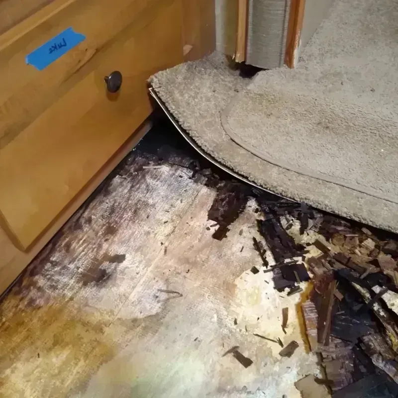 Best Wood Floor Water Damage Service in Sisco Heights, WA